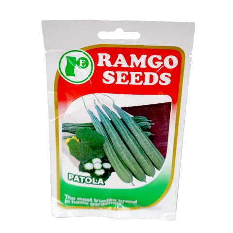 RAMGO SEEDS PATOLA PRADO ACE BROWN SEEDS